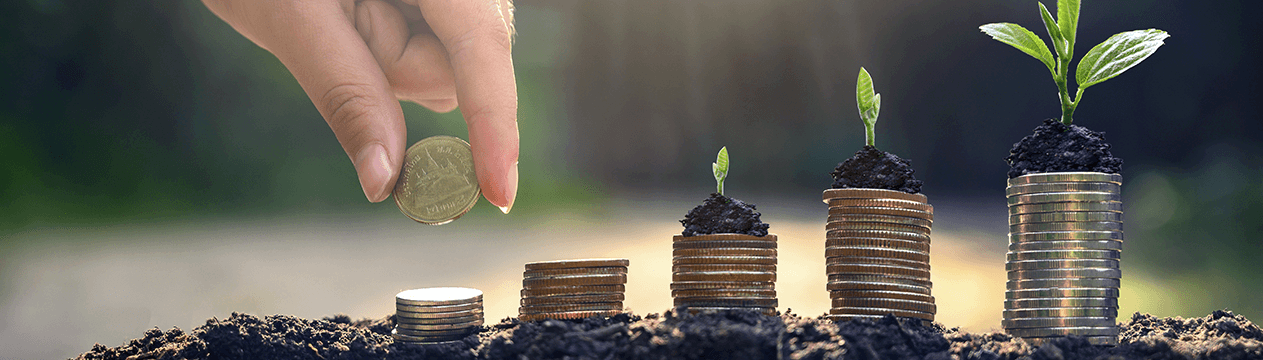 Como investir com pouco dinheiro? O Guia Completo para 2025! 