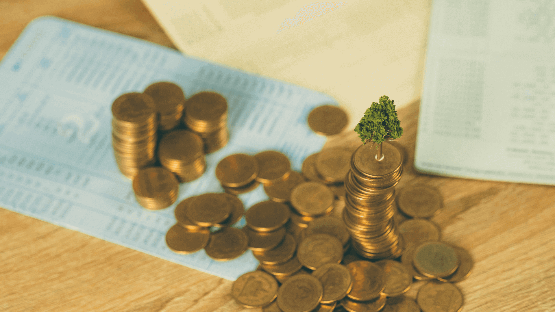 Como ganhar dinheiro com investimentos? Confira 11 passos definitivos!