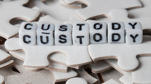 Agente Custódia Tesouro Direto: Saiba o que é a sua função!