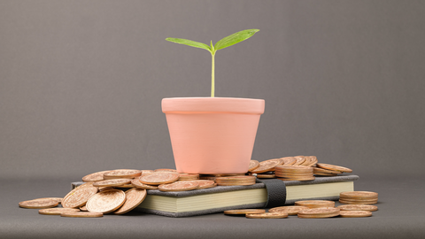 Poupança é Renda Fixa? Em qual devo investir? Entenda!