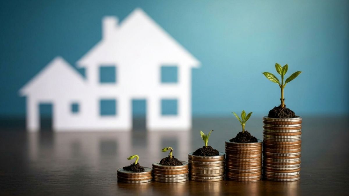 Banner - mais recententes